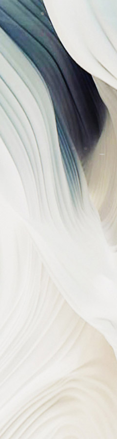 REPIC_